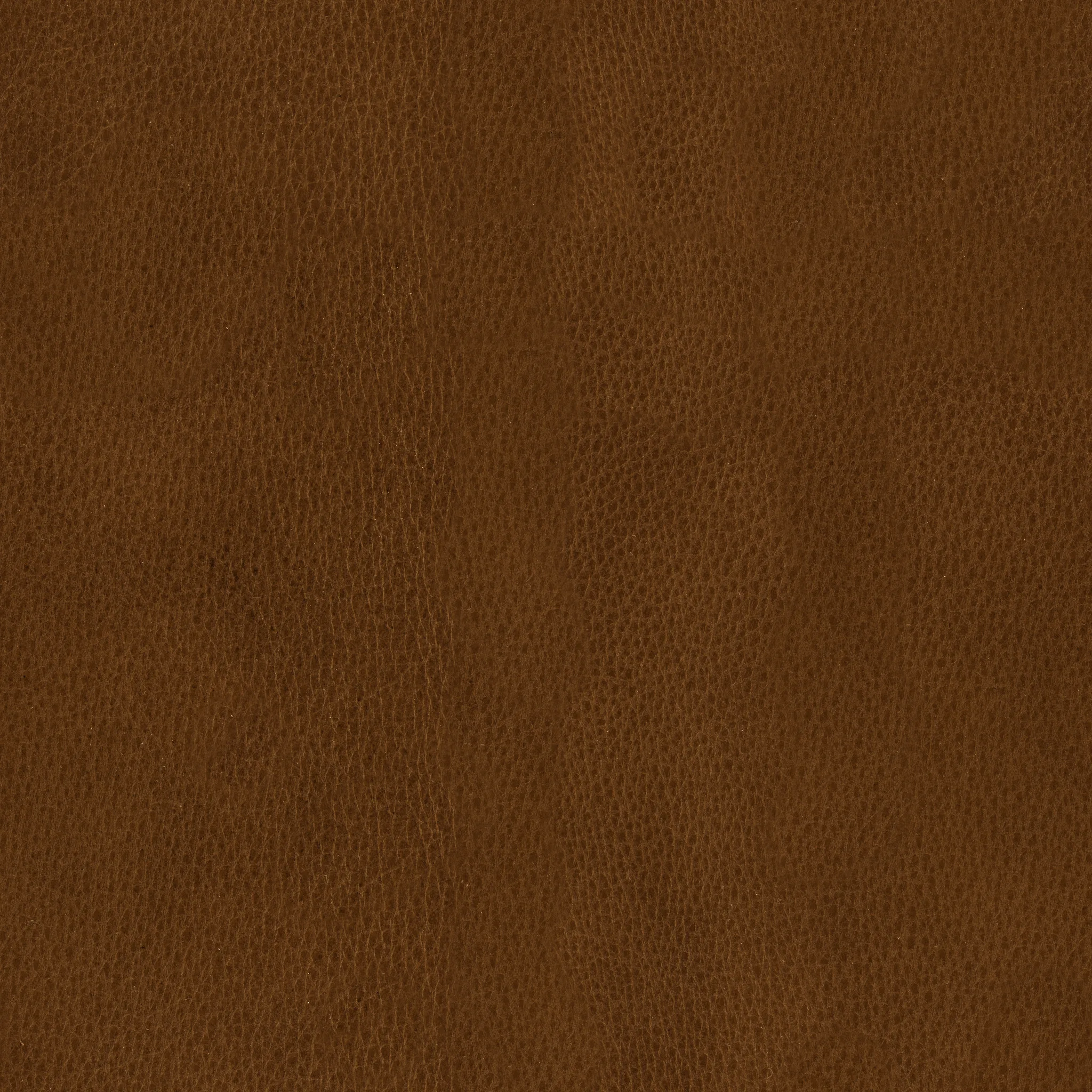 Cognac Leather · Full texture